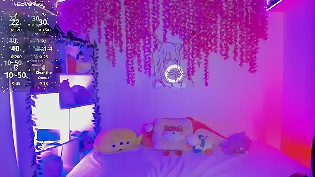 cat_kitty18_