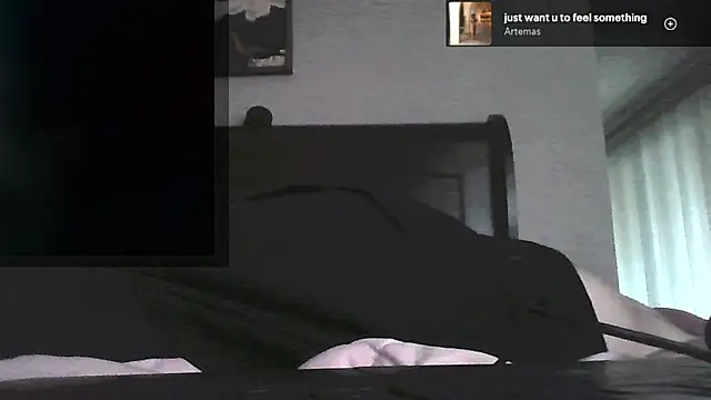 Snarfle82 webcam