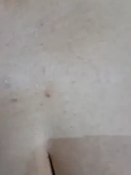 Mia-funny20 live cam on StripChat