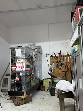 Paul22cm- live cam on StripChat