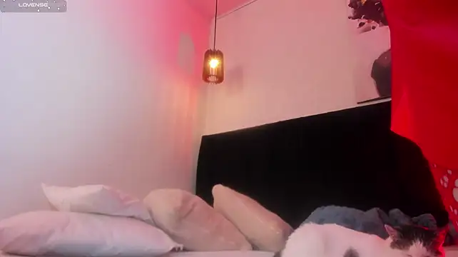 dolly_zoe live cam on StripChat