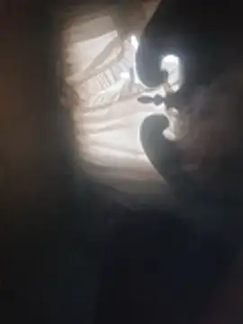 19JaSon83 live cam on StripChat