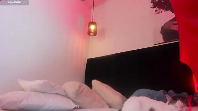 dolly_zoe live cam on StripChat