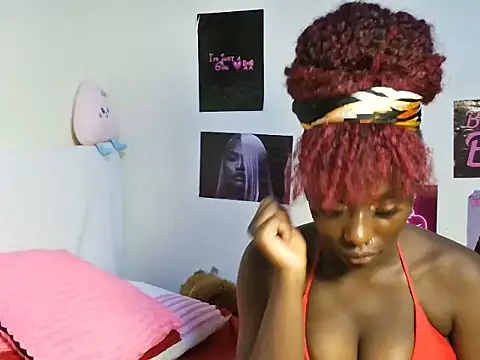 Aria_ah webcam