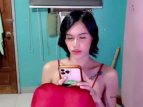 bunnydollstella1 live cam on StripChat
