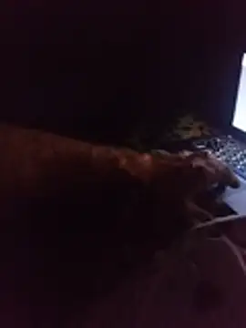 cipkaifaja live cam on StripChat