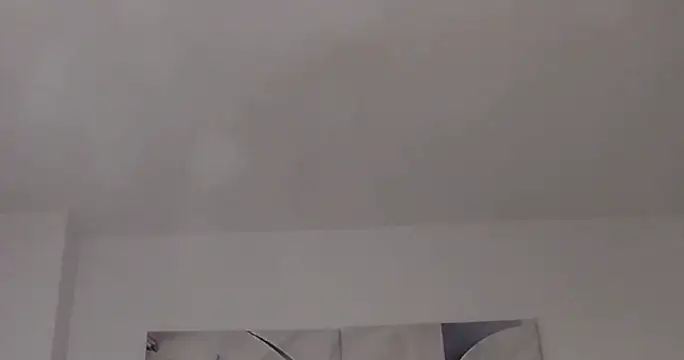 EvaRozee live cam on StripChat
