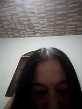 catdool live webcam
