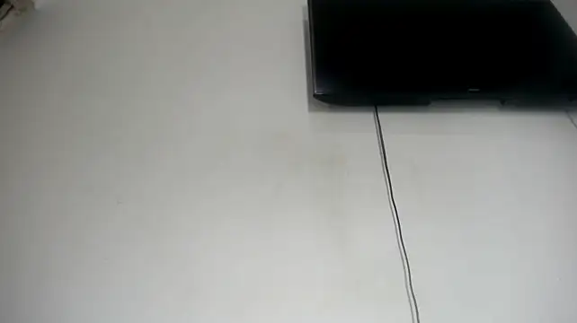 Fox_Loves