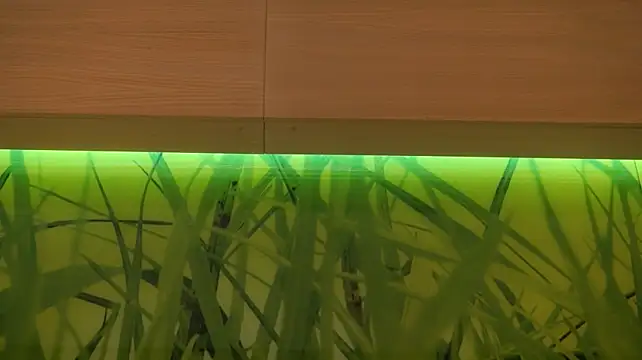 MarlinVarian live sex cam