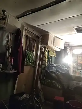 Biknight live sex cam