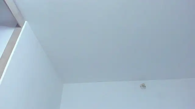 KingLevi01