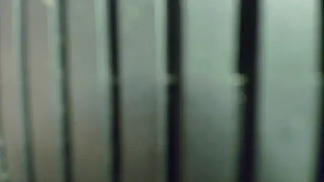 NicoDavisOfficial