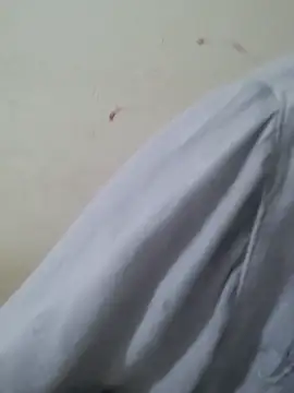 Jal_pari5
