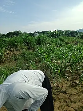 Bong_Hoa
