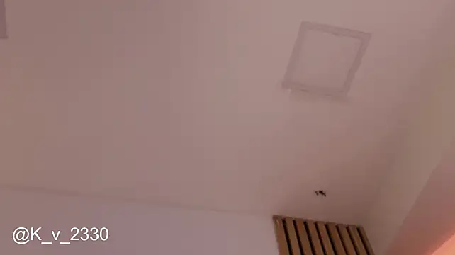 sofiesoft webcam