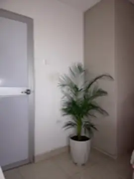 mary_ivett (F young) - Make my pussy get wet love