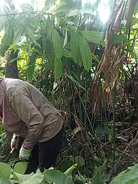 heryy_xx (F milf) - Ủng hộ