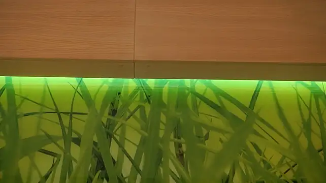 MarlinVarian live sex cam