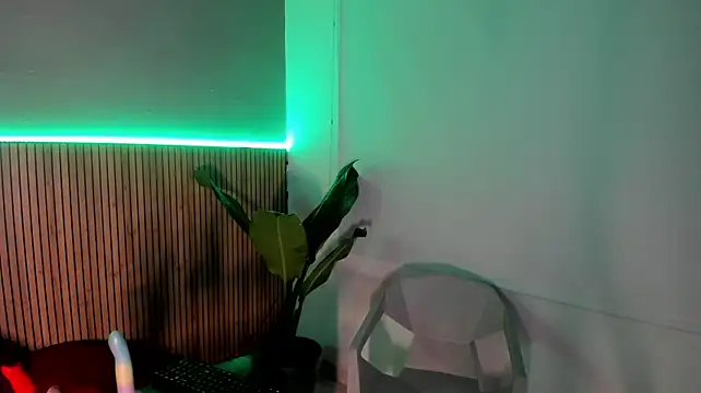 haileycat live cam on StripChat