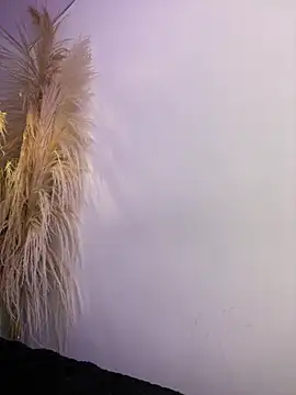 cute__cherry_ webcam