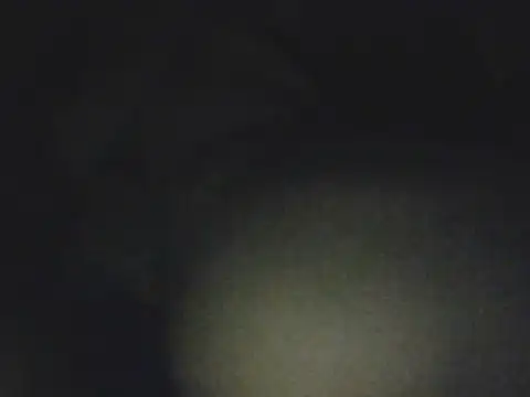Gordo1206 live cam on StripChat