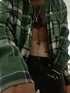 ren_stipee