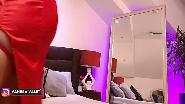 VanesaValet