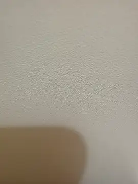 natlima91