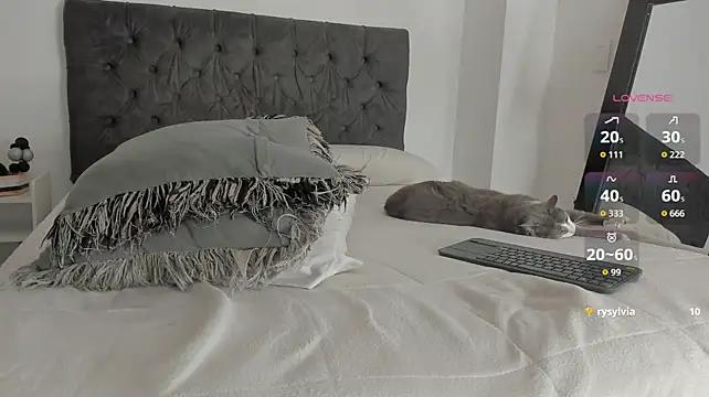 jordanmuskk live sex cam