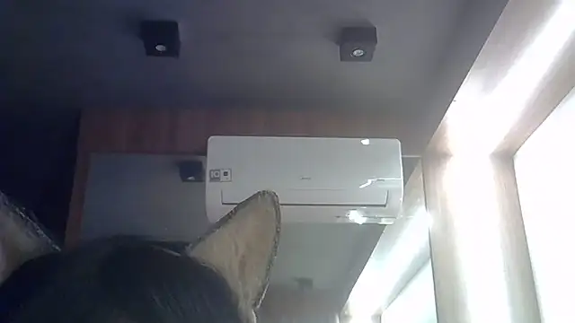 SkinnyKitten live cam on StripChat