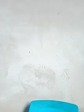 GinieBaby live webcam