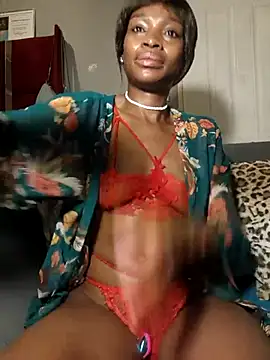 HoneyDropsX