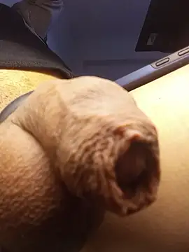sexboybwc_assfucker