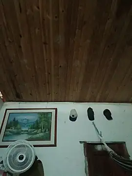 ducdow live cam on StripChat