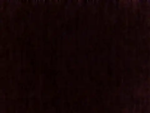 sugarnova254