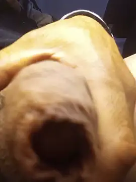 sexboybwc_assfucker