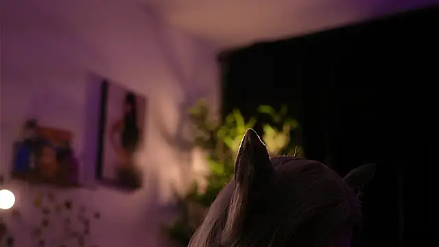 soidai_miiu (F young) - #best #big-ass #big-clit #cam2cam #cheap-privates #colombian #dildo-or-vibrator #dirty-talk #fingering #foot-fetish #goth #hd #heels #jerk-off-instruction #masturbation #nipple-toys #oil-show #orgasm #pov #recordable-privates #recordable-publics #role-play #sex-toys #sexting #shaven #small-tits #smoking #spanish-speaking #titty-fuck #topless #trimmed #twerk #affordable-cam2cam #best #best-young #big-ass #big-ass-latin #big-ass-young #big-clit #black-hair #black-hair-young #cam2cam #cheap-privates #cheap-privates-best #cheap-privates-latin #cheap-privates-young #colombian #colombian-young #curvy #curvy-latin #curvy-young #dildo-or-vibrator #dildo-or-vibrator-young #dirty-talk #fingering #fingering-latin #fingering-young #foot-fetish #goth #hd #heels #jerk-off-instruction #latin #latin-foot-fetish #latin-masturbation #latin-young #masturbation #nipple-toys #oil-show #orgasm #pov #recordable-privates #recordable-privates-young #recordable-publics #role-play #role-play-young #romantic #romantic-latin #romantic-young #sex-toys #sexting #shaven #small-audience #small-tits #small-tits-latin #small-tits-young #smoking #spanish-speaking #titty-fuck #topless #topless-latin #topless-young #trimmed #trimmed-latin #trimmed-young #twerk #twerk-latin #twerk-young #young