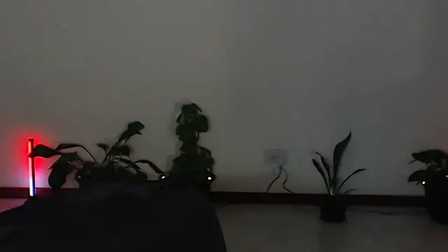 charlottezoe15 live cam on StripChat