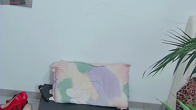 Solsken_ live webcam