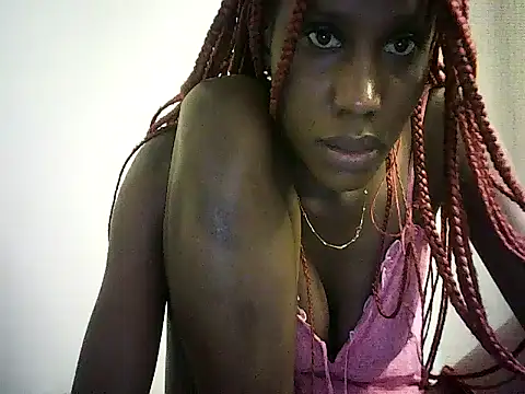 DelteAfriq webcam