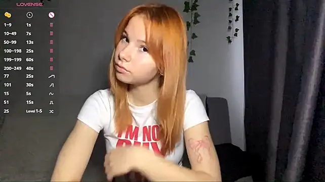 Dreamchase webcam