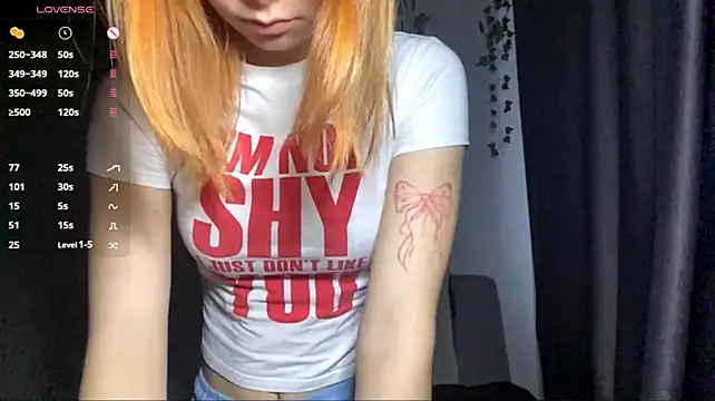 Dreamchase webcam