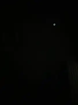 AmbarFoxx_ live cam on StripChat