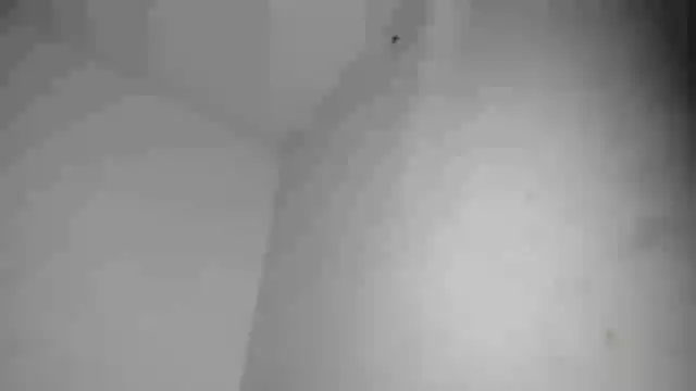 calliedemon_ live cam on StripChat