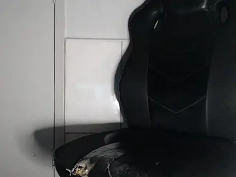 brb8tor live cam on StripChat