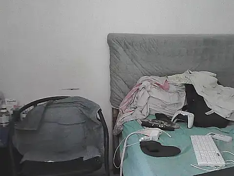 alphalatinobearx live cam on StripChat