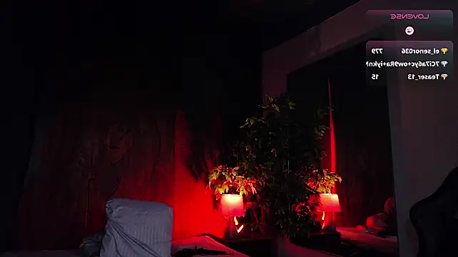 Lexavega_ webcam