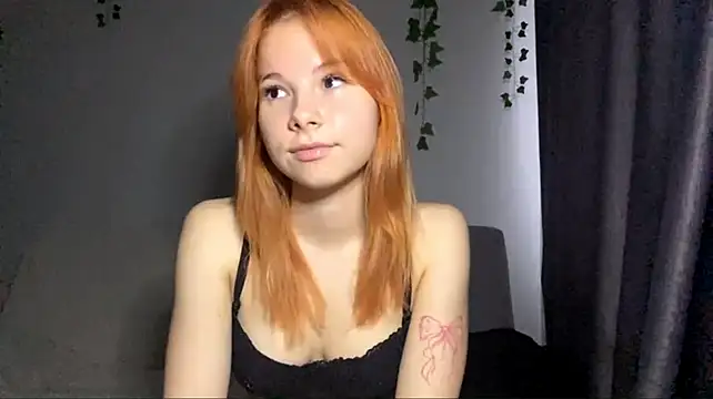 Dreamchase webcam