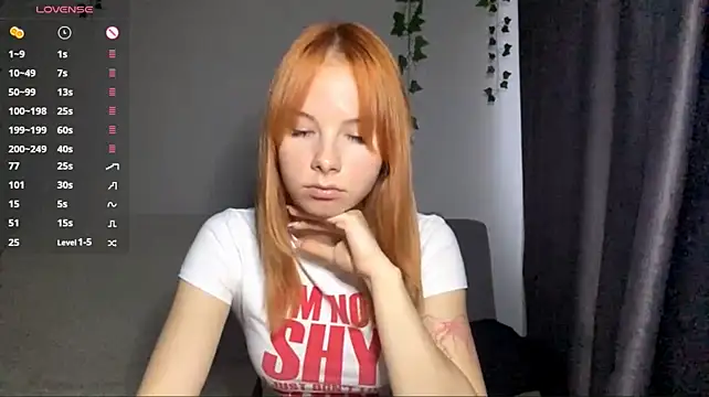 Dreamchase webcam